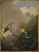 Copper-tailed Amazili Martin Johnson Heade